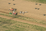 080905_imohiroi4.jpg